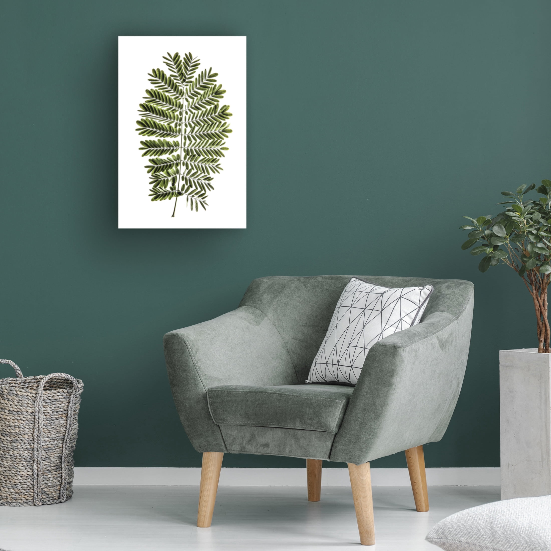 Trademark Fine Art Shot by Clint Leaf Study 02 Canvas Wall Art