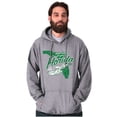 thumbnail image 5 of Florida Popeye in the Sunshine State Unisex Plus Size Hoodie Brisco Brands 4X, 5 of 6