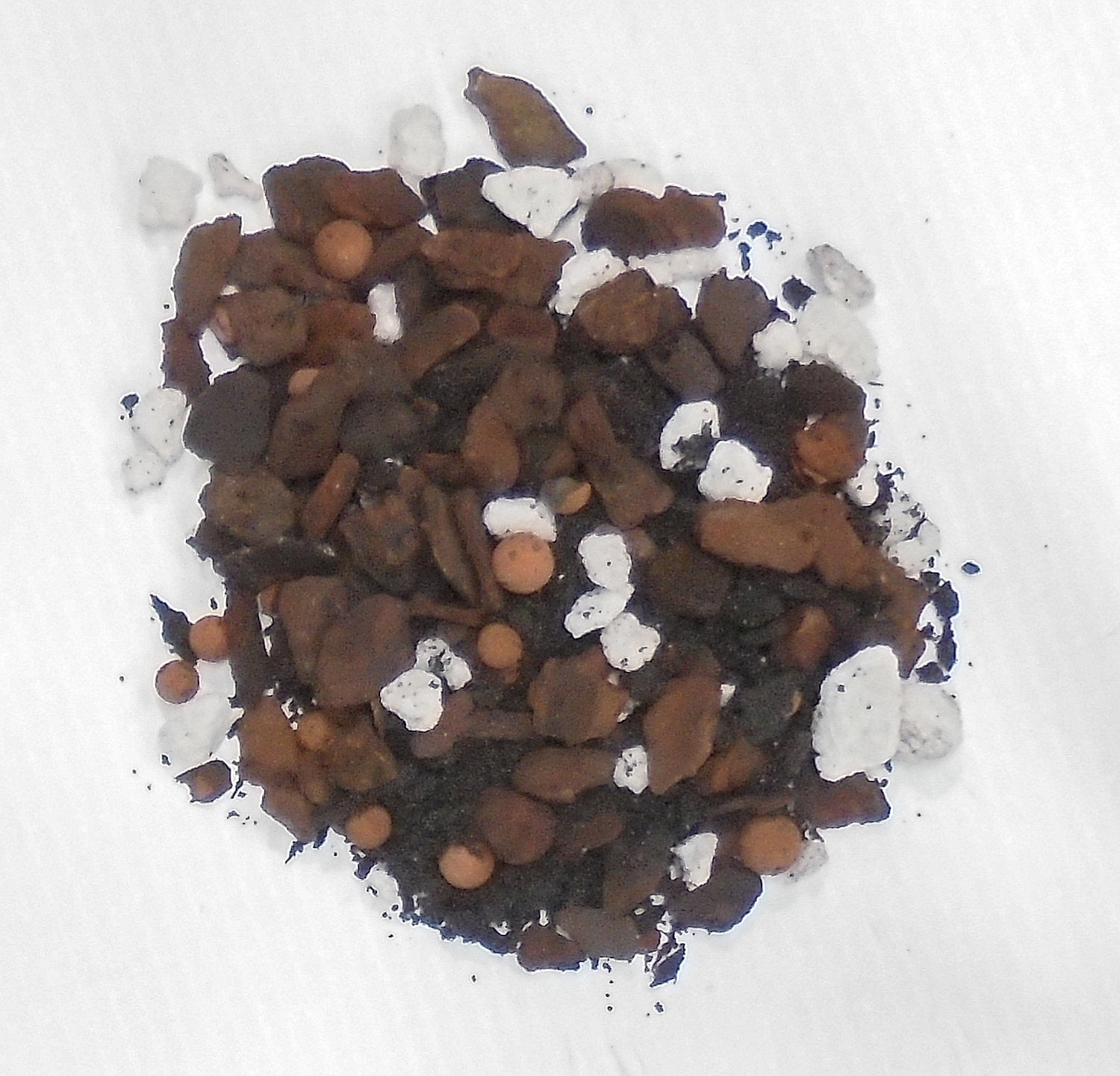 All you need to repot your plant. 6" plastic pot with Cattleya Premier