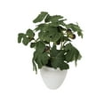 thumbnail image 3 of Better Homes & Gardens Artificial Fig Leaf in Tan Ceramic Vase, 13", 3 of 8