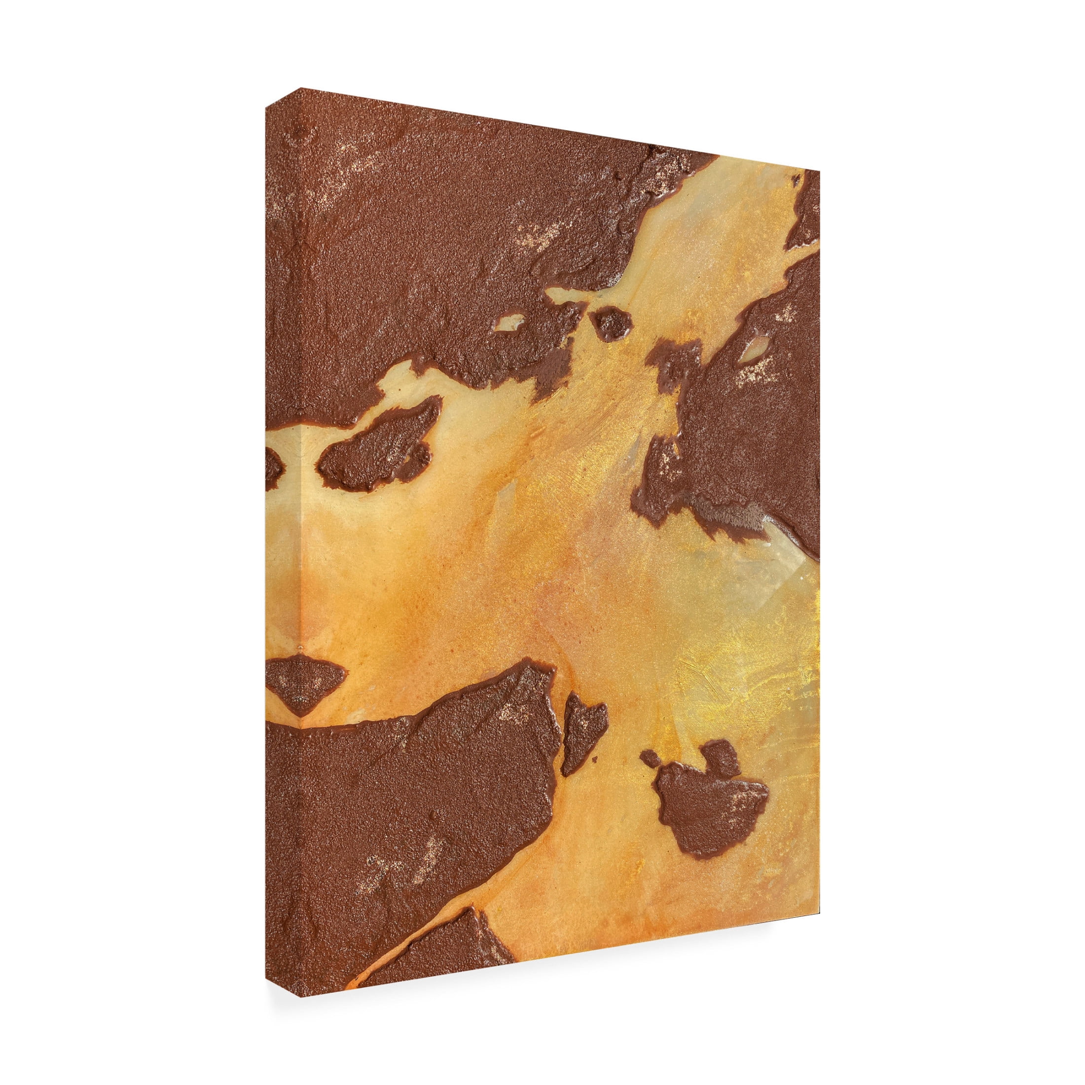 Trademark Fine Art Alyson Storms Desert Canyon Canvas Wall Art