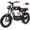 GT33-Standard, variant on RidingTimes GT33 30+MPH Electric Dirt Bike for Adults, 1350W Motor, 48V 27Ah, 20" x 4.0" Off-Road Fat Tires EBike with Spare Battery Rack, UL2849(Dual Battery)