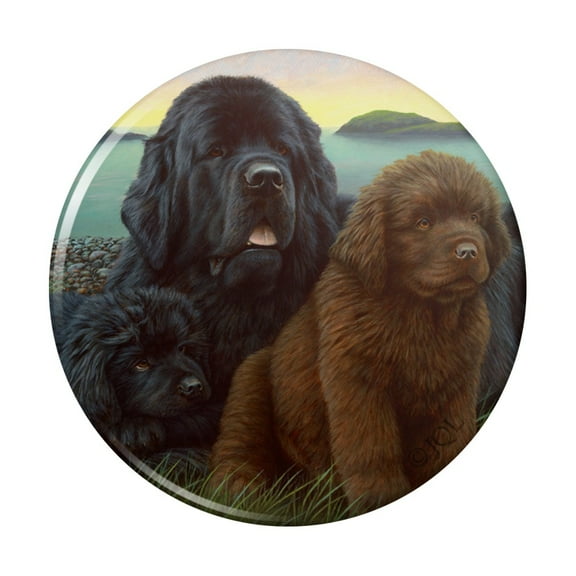 Newfoundland Dogs Puppies Countryside Kitchen Refrigerator Locker Button Magnet