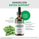thumbnail image 4 of Tintura NutraMedix Dandelion Detox, 60 ml, ayuda a la salud del hígado, 4 of 8