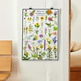 thumbnail image 3 of Missouri Wildflowers Poster - Native Prairie Blooms - Educational Science Chart of Missouri Flowers, 3 of 5