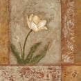 thumbnail image 3 of Bagnato, Judi 12x12 Black Modern Framed Museum Art Print Titled - Morning Floral 1, 3 of 5