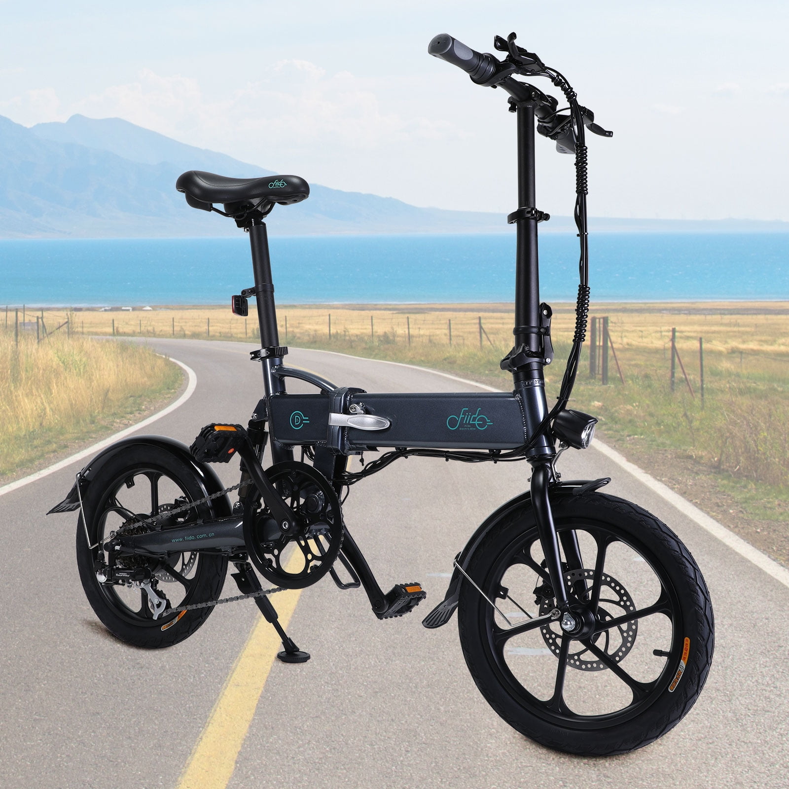 FIIDO D2S Folding Electric Bike with Gear Shifting 16 inch Tires and 250W Motor in Cote dIvoire at XOF 1323659 Rating 5