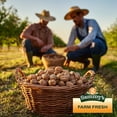 thumbnail image 6 of Sammys Naturals Walnuts, Halves And Pieces, Bulk (32oz - 2 lb), 6 of 8