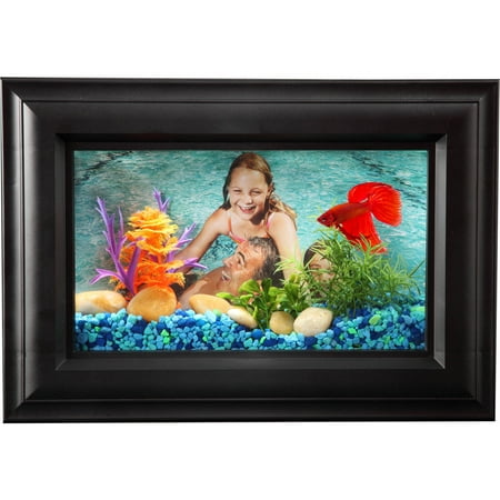 Hawkeye .75 Gallon Picture Frame Aquarium with LED (Best Fish For 75 Gallon Tank)