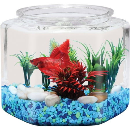Hawkeye 1-Gallon Hex Fish Bowl with Shatterproof (Best Fish Bowls Nyc)