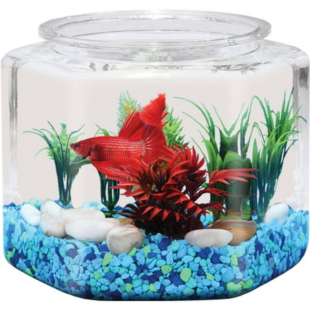 Hawkeye 1-Gallon Hex Fish Bowl with Shatterproof (Best Fish To Keep In A Bowl)