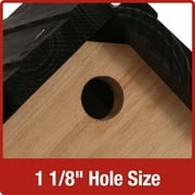 Natures Way Cedar Hanging Wren Bird House