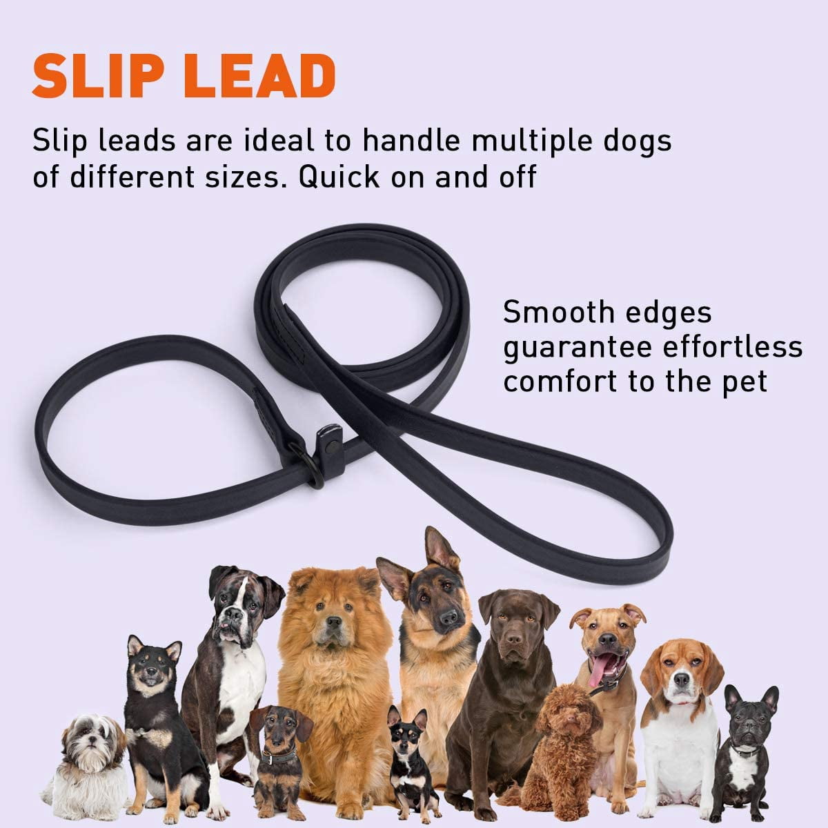 Dogline  - Biothane Slip Dog Leash - for Small, Medium and Large Dogs - Odor Free Slip Lead, Heavy Duty and Durable Material Kennel Lead (Black: Width 5/8" | L: 60"(5ft))