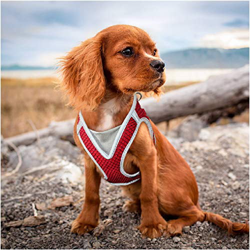 KRUZ PET KZA308-01S Reflective V-Neck Step in Mesh Dog Harness - No Pull,  Easy Walk, Quick Fit, Comfortable, Velcro-Adjustable Pet Harnesses for 
