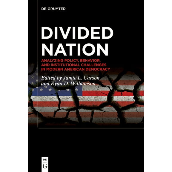 Divided Nation: Analyzing Policy, Behavior, and Institutional Challenges in Modern American Democracy, (Paperback)