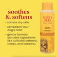 thumbnail image 4 of Burt's Bees Oatmeal Shampoo with Colloidal Oat Flour and Honey for Dogs, 4 of 5