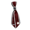 thumbnail image 1 of Women's Neck Tie Clip on Tie Smooth Ribbon Brooch for Uniform Student DIY, 1 of 8