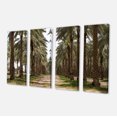thumbnail image 2 of Date Palm Plantation Photography - Modern Forest Canvas Art, 2 of 3