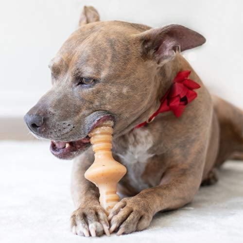 Benebone Zaggler Rolling Dog Toy para masticadores agresivos, pollo real, hecho en EE. UU., M Benebone Benebone