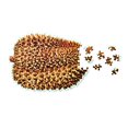 thumbnail image 2 of Areaware Petite Chose Casse-Tête : Durian, 2 of 4