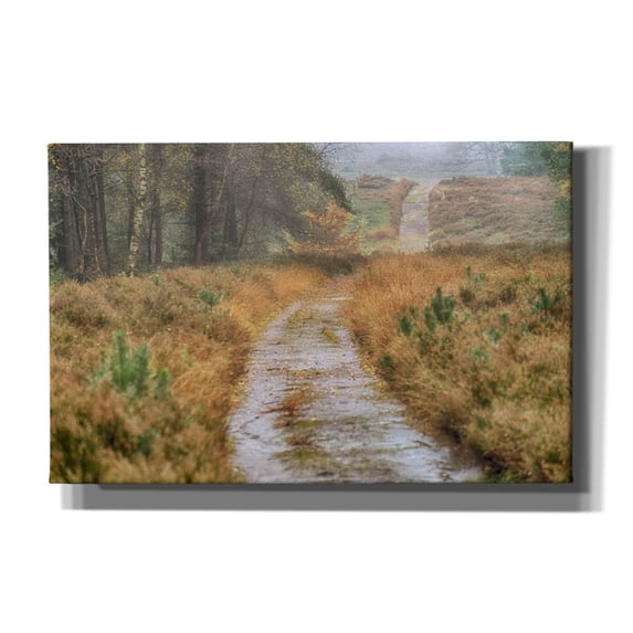 Epic Graffiti 'Path' by Cora Niele, Canvas Wall Art, 40"x26"