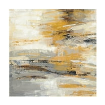 Trademark Fine Art 'Golden Dust Crop' Canvas Art by Silvia Vassileva