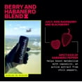 thumbnail image 4 of Echelon Energy Drink - 12-Pack Berry Habanero Flavor - Pre-Workout with 300mg Caffeine, L-Theanine, Beta-Alanine - Military Developed, 4 of 5