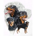 thumbnail image 1 of Cuadros Decorativos 5D DIY taladro completo diamante pintura perros grupo punto de cruz bordado diamantes de imitación mosaico Kits hogar pared decoración JShteea  Nuevos Originales, 1 of 7