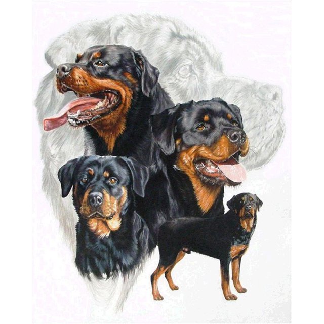 Cuadros Decorativos 5D DIY taladro completo diamante pintura perros grupo punto de cruz bordado diamantes de imitación mosaico Kits hogar pared decoración JShteea Nuevos Originales