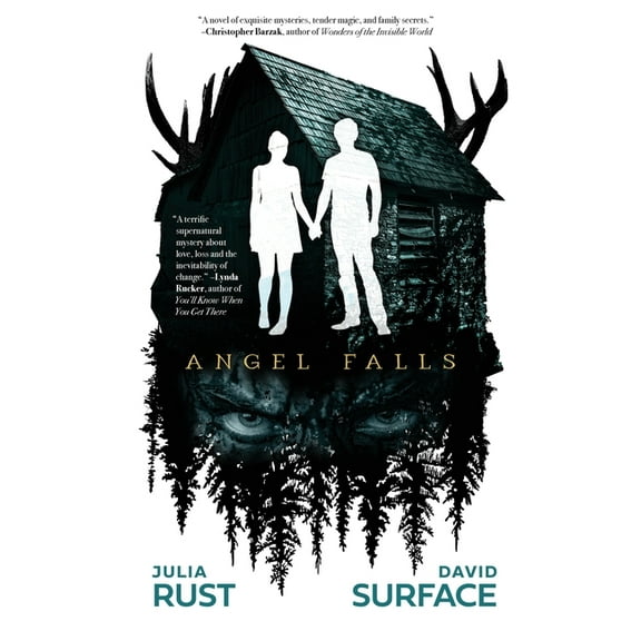 Angel Falls, (Hardcover)