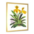 thumbnail image 2 of Designart 'Yellow Vintage Orchid' Traditional Framed Art Print, 2 of 4