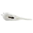 thumbnail image 6 of Cornucopia Brands Artificial White Doves (6-Pack); White Feathered Mini Birds for Weddings, Christmas Ornaments, Wreaths & Decorative Arts and Crafts, 6 of 7