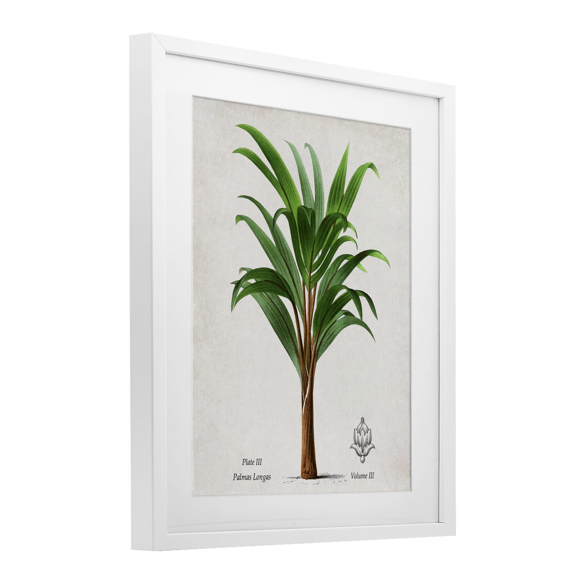 Stupell Industries Palmas Longas Palm Tree White Framed Print Under Glass, design by Val Rhodes