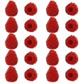 thumbnail image 1 of Nvzi Paquete de frutas artificiales, juego de frutas de plástico para decoración, ideal para fiestas en casa, rellenos de jarrones y accesorios de fotografía (frambuesa roja, 10 unidades), 1 of 5