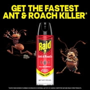 Raid Ant & Roach Insect Killer, Lemon Scent Bug Spray, Insect Spray, 17.5 oz