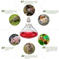 Hemoton Lamp Bulb Heat Bulbs Heater Infrared Heating Light Chick