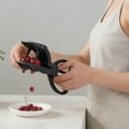 thumbnail image 4 of Double Head Cherry Pitter Tool Efficient Stone Removal Food Grade Stainless Steel Kitchen Utensil, 4 of 4
