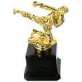 thumbnail image 1 of Competition Trophy Martial Move Trophy Model Party Trophy Cup Ceremony Competition Trophy, 1 of 9