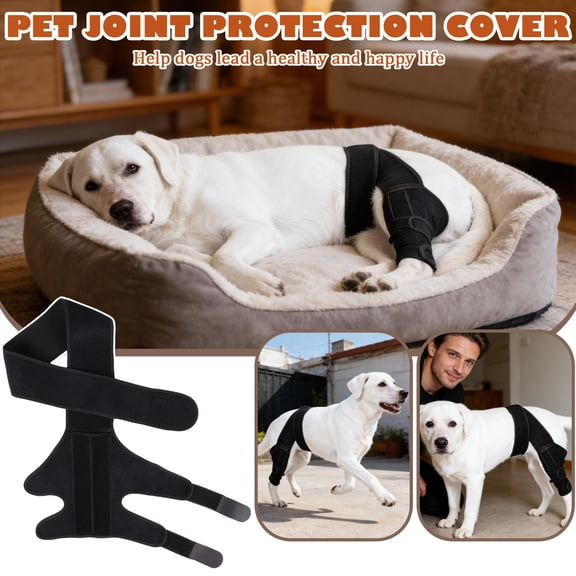 Dog Leg Brace, Pet Joint Protection Sleeve, Adjustable Durable Neoprene, Canine Hind Knee Support for Injury Recovery, Single Black Sleeve for Joint Strain Sprain