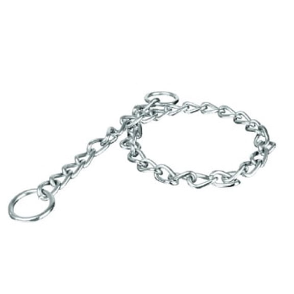 Cadena de entrenamiento para perro