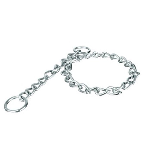 Cadena de entrenamiento para perro