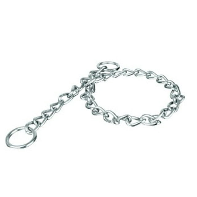 Cadena de entrenamiento para perro