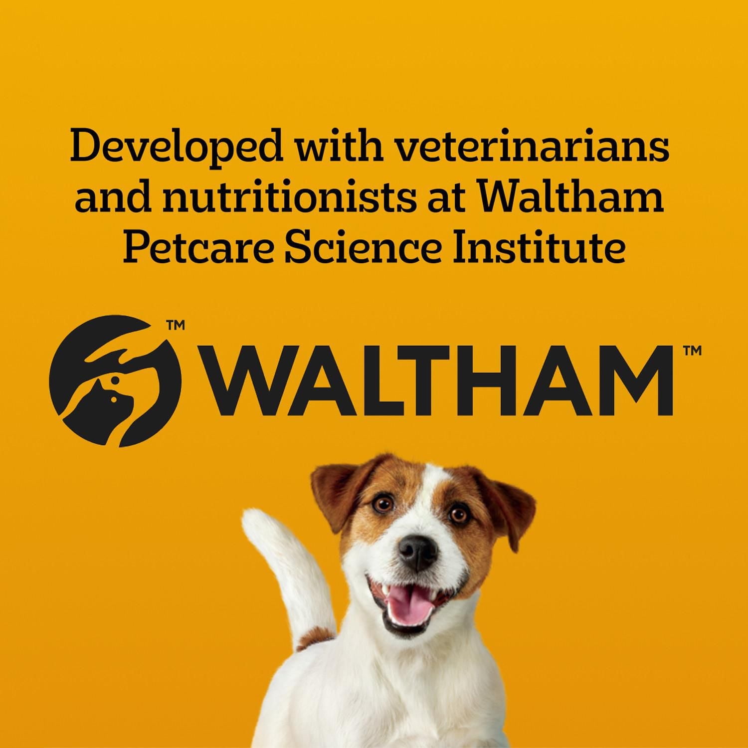 PEDIGREE Marrobone Adult Dog Treats – Bacon & Cheese Flavour with Real Bone Marrow - Vitamins Enriched, 680g Pouch