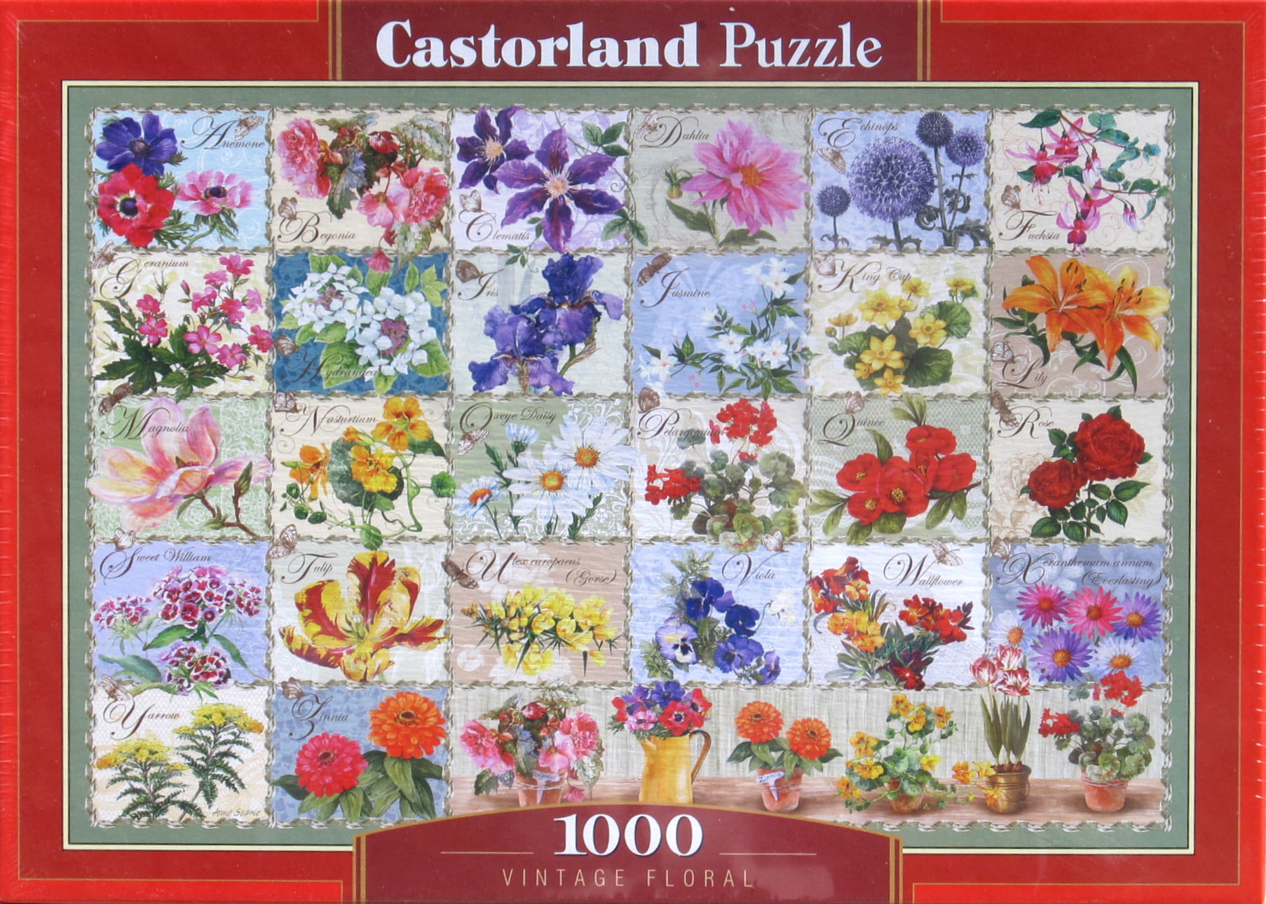 1000pc Jigsaw Puzzle Floral Doorway 
