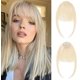 thumbnail image 1 of ORIGEN Flequillo con clip Cabello humano real Clip en flequillo tenue con patillas Postizos Extensiones de flequillo frontal falso para mujeres Color rubio hielo, 1 of 4