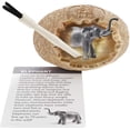 thumbnail image 7 of Dan&Darci Dig a Dozen Egg Kit - Break Open 12 Eggs and Discover 12 Unique Cute Wild Safari Animals, with Learning Cards - Easter Archaeology Science STEM Gift for Kids, 7 of 7