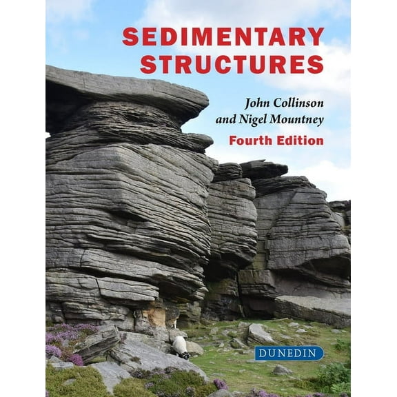 Sedimentary Structures, (Paperback)