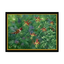 Trademark Fine Art 'Rufous Hummingbird' Canvas Art by Jeff Tift