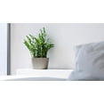 thumbnail image 3 of Ecopots Sofia Durable Modern Oval Indoor/Outdoor Recycled Based Composite Flower Pot Planter w/ Water Reservoir, Taupe, 12", 3 of 4