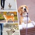 thumbnail image 3 of lynxking Slip Lead Dog Leash Reflective, Heavy Duty Comfortable Strong Rope for Large Medium Small Dogs No Pull Pet Training, 3 of 7